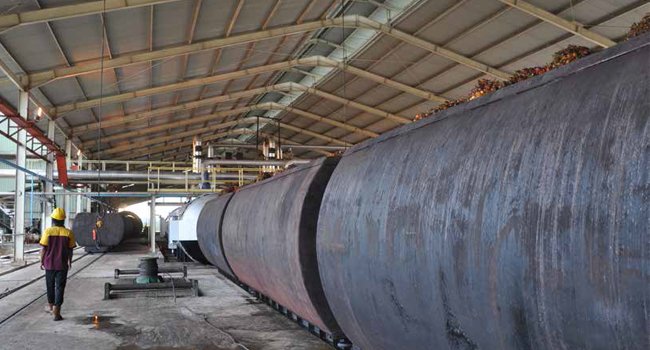 BISNIS CPO   JATUH DAN TERTIMPA TANGGA