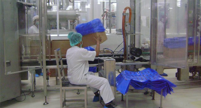 Investor Sawit Di Papua Wajib Bangun Industri Hilir