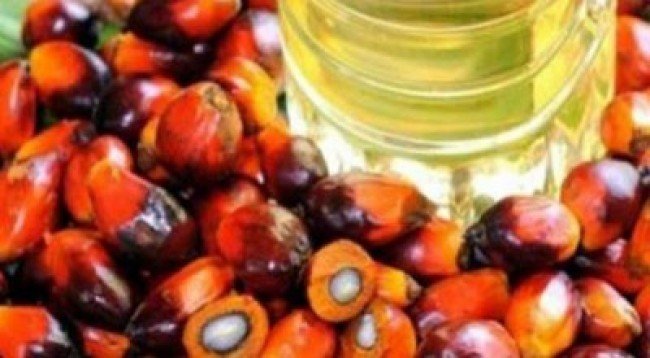 MKP : Kelapa Sawit & Seafood Terancam Di Embargo UE