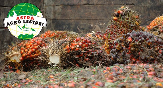 Produksi CPO AALI Turun 6,4%
