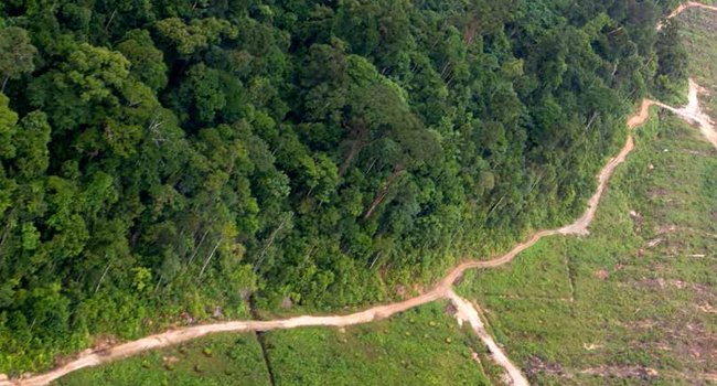 UU NO 18 TAHUN 2013 Memicu Munculnya Kisruh