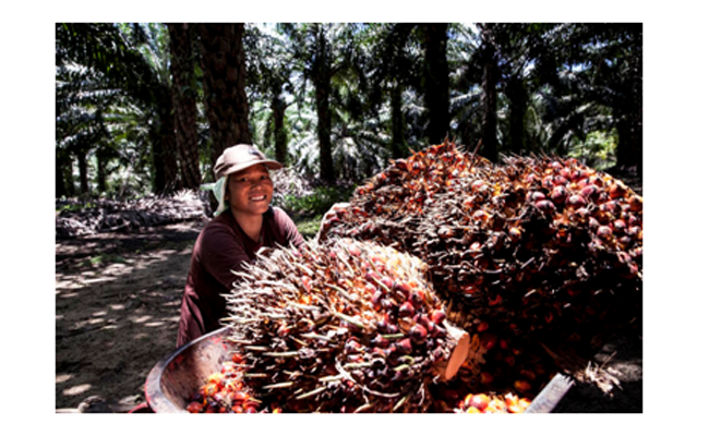 IPOP Siap Genjot Produktivitas Petani