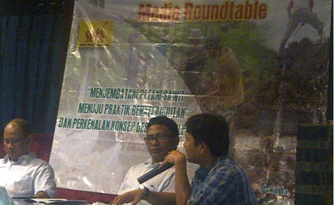 Moratorium Izin Sawit, Bisa Maksimalkan Sawit Swadaya 
