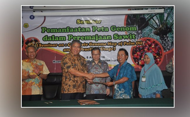 Peremajaan Eks Plasma Peroleh Dana Bantuan BPDP-KS