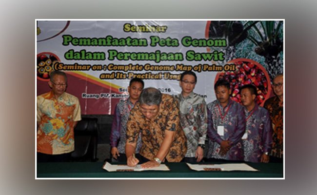 Petani Swadaya Mitra PT SMART Tbk Dapat Dana Bantuan BPDP