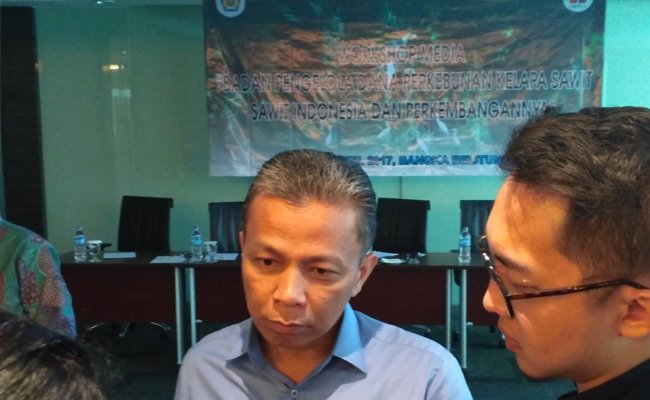 BPDP Sawit Bakal Direview Untuk Tentukan Arah Kelembagaan