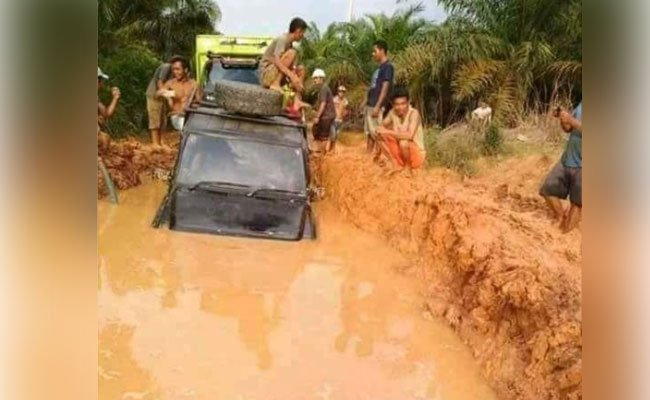 Ekonomi 9 Desa di Muarojambi Lumpuh, Buah Sawit pun Membusuk
