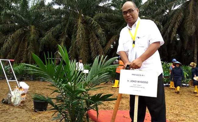 Pusat Penelitian Kelapa Sawit Dukung Peremajaan Sawit Rakyat