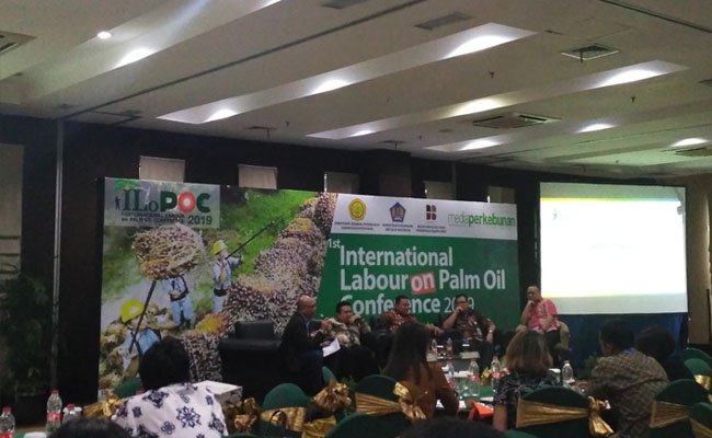 Enam Masalah Tenaga Kerja di Perkebunan Kelapa Sawit
