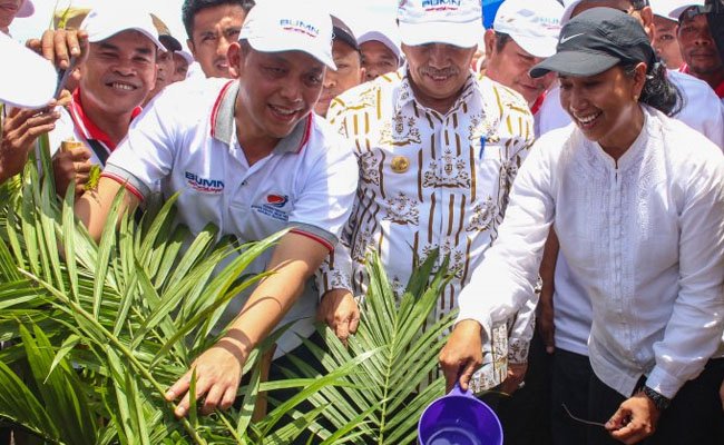 Kementerian BUMN Dukung Peningkatan Produktivitas Sawit Rakyat Lewat PSR
