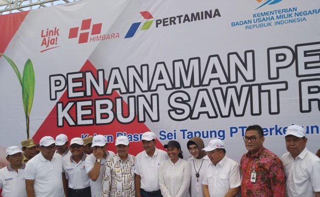 Lahan Plasma Sawit Seluas 32.996 Ha di Riau, Resmi Diremajakan