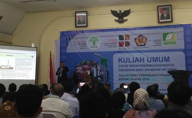 Tantangan Sawit Masih Besar