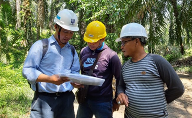Unilever Beli Kredit Sertifikat Minyak Sawit Berkelanjutan RSPO Meliputi 4000 petani