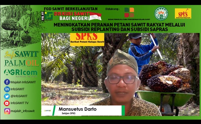 Petani Sawit Usul Dana Replanting (peremajaan sawit) Jadi 50 Juta/Ha