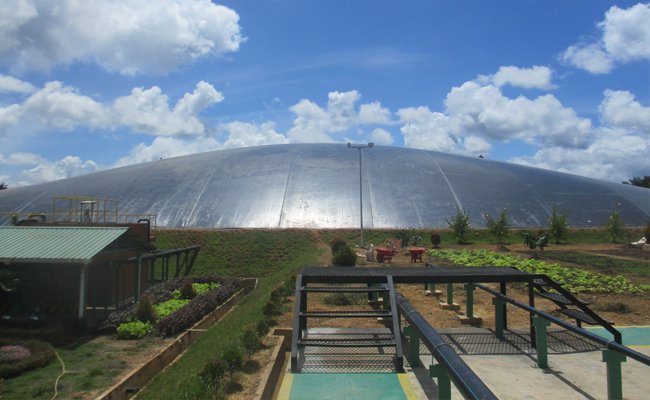 DSNG Raih Penghargaan Emisi Korporasi 2022 Kategori Green an Gold