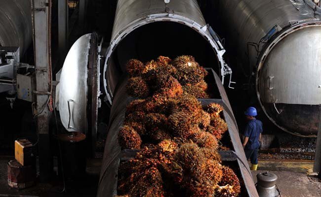 Harga Minyak Sawit Dalam Sepekan Naik 6,4%