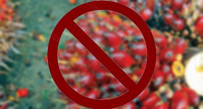 300 Petani Kecewa PKS Tolak Terima TBS