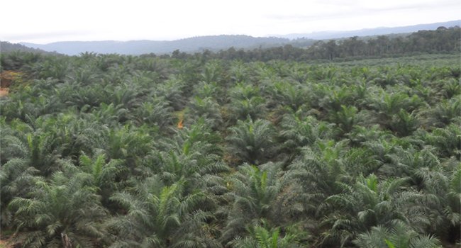 DPRD RI Minta Pemprov Lampung Rampungkan Konflik Agraria