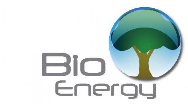 Enam Program Penunjang Pengembangan Bioenergi Lestari 