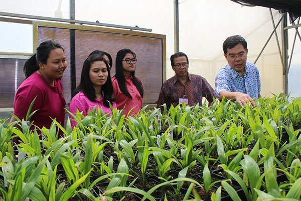 Anak Presiden Belajar Sawit Loh..