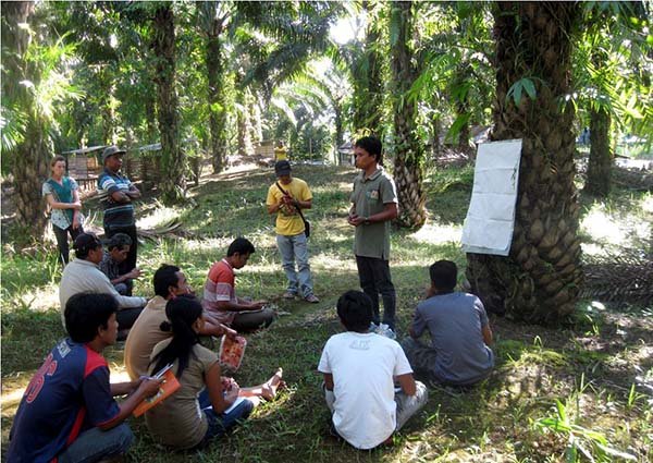 Henkel, BASF dan Solidaridad Dukung  5,500 petani sawit Terapkan Prinsip Berkelanjuta