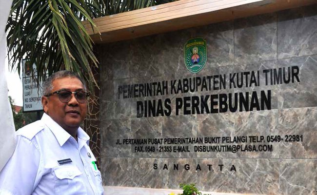 KEBUN SAWIT TUMBUH, KUTAI TIMUR SEJAHTERA