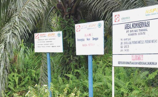 MENJAGA ASA COMBINED AUDIT