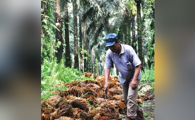 JALAN DITEMPAT ATAU JUSTRU SEMAKIN MENGUAT
