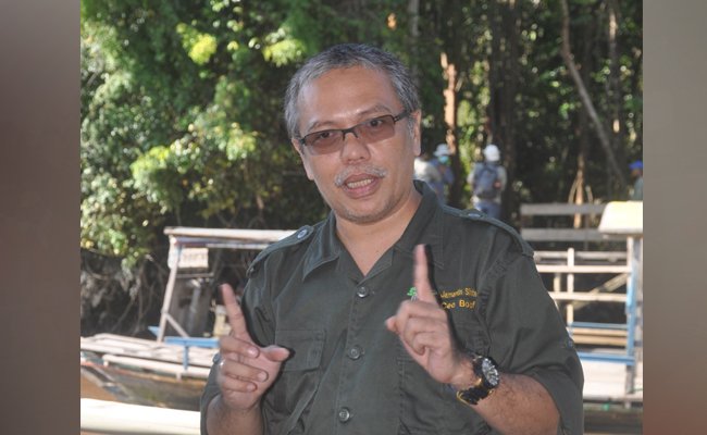 Memecah Bootle Necking, Pelepasliaran Orangutan