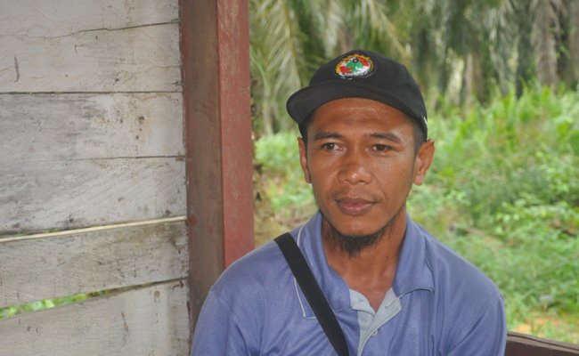 Replanting Sawit Petani Butuh Kerjasama Perusahaan Perkebunan