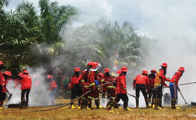 SETENGAH JALAN JUDICAL REVIEW UU 32 TAHUN 2009