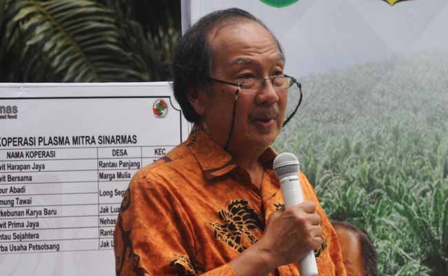 Kelapa Sawit Bisa Jadi Solusi