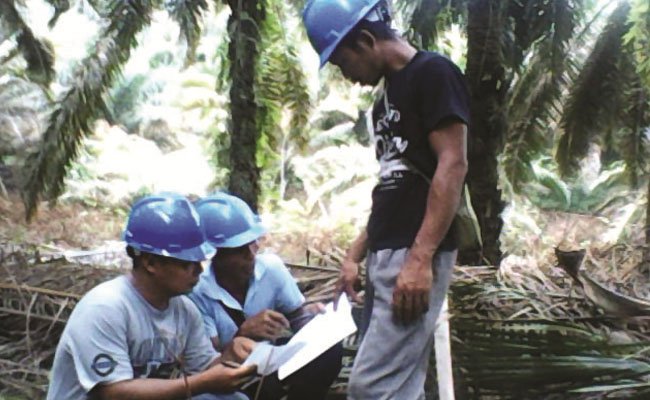 DPR RI: Dana Sawit BPDP-KS Harus Jadi Stimulus Supaya Petani Naik Kelas