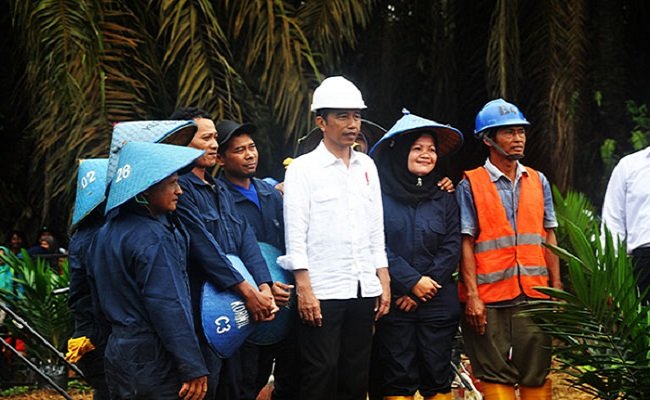 Janji Jokowi, 1 juta ton Sawit Produksi Petani Untuk Bahan Baku D100 (Diesel 100%)