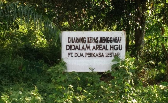 Perusahaan Sawit PT. Dua Perkasa Lestari, Terungkap Rebut Lahan Masyarakat