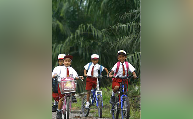Tanggung Jawab Perusahaan Dari Beragam Perspektif