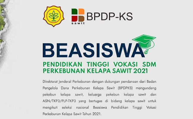 Beasiswa SDM Sawit Dibuka, Hayoo Jadi Planter Sawit Profesional