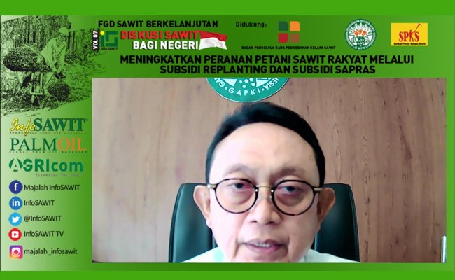Dukung Program Peremajaan Sawit, Gapki Siapkan Beragam Skim Kemitraan