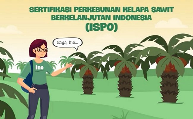 Mari Mengenal Skim Minyak Sawit Berkelanjutan ISPO Untuk Pekebun