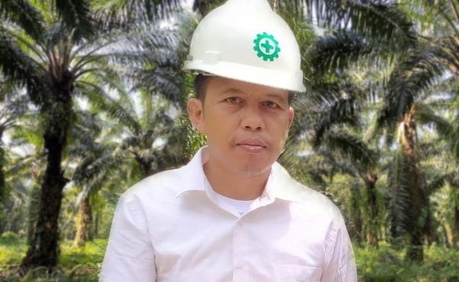 Mau Jadi Planters Sawit Suskes, Ikuti Langkah Berikut