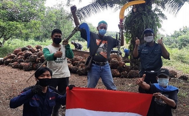 Panen Sawit Jadi Efektif dan Efisien, 5 Mahasiswa IPB Kembangkan Estate Harvesting Cutter