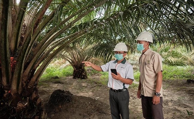 RGE Komitmen Terapkan Praktik Minyak Sawit Berkelanjutan