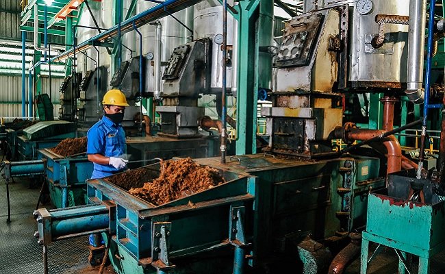 Semester I-2021, Laba Bersih Perusahaan Sawit ANJ Meningkat 332%