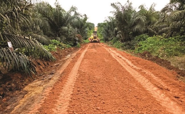 Teknis Merawat Jalan di Kebun Kelapa Sawit