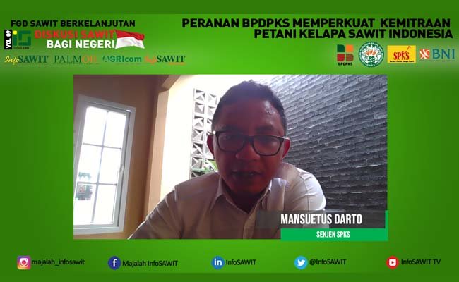 Untuk Bantu Petani Sawit, Pemerintah Perlu Memiliki Misi Revolusioner