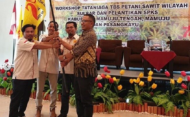 SPKS di Wilayah Sulawesi Barat Resmi Terbentuk, Perkuat Kelembagaan Petani Sawit Swadaya