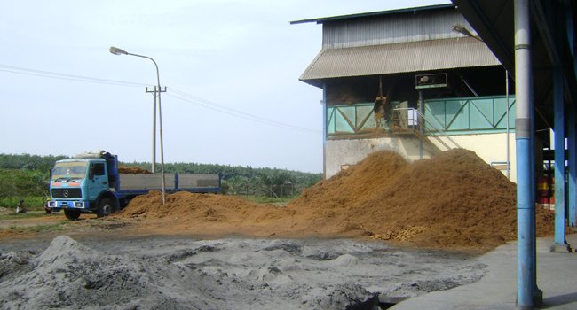 Biomassa Riau Dilirik Tiga Perusahaan Asing 