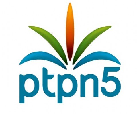 Pengadilan Tinggi Pekanbaru Perintahkan PTPN V Tiadakan Ribuan Hektare Sawit 