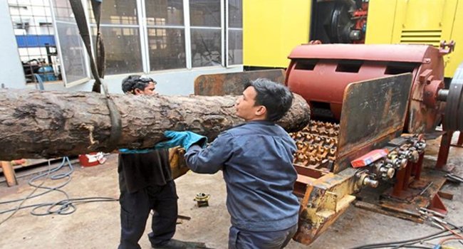 Trunk Busters Sdn Bhd Produksi Pupuk dan Ekstrak Biofuel dari Batang Kelapa Sawit