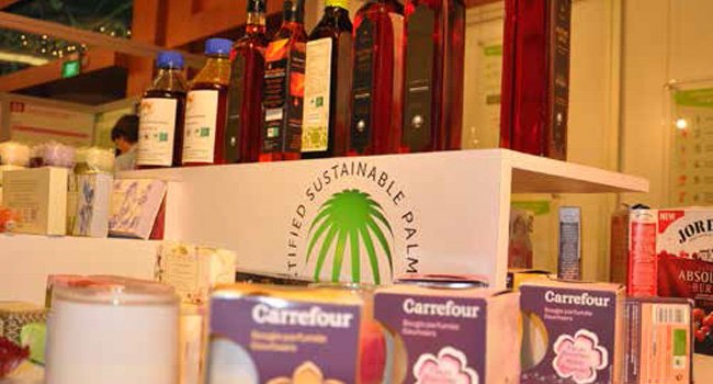 RSPO NEXT STANDAR TINGGI BERKELANJUTAN  VERSI RSPO